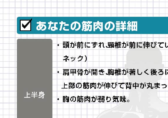 筋肉の詳細