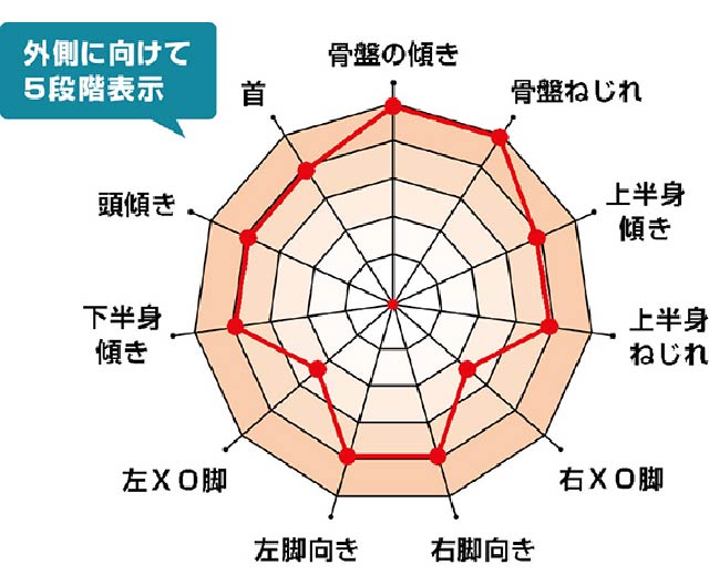 姿勢5段階チャート